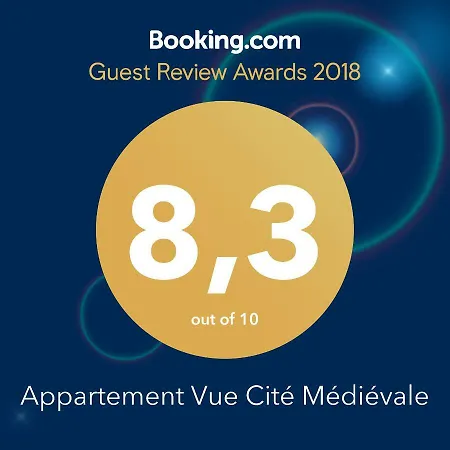 Vue Cite Medievale
